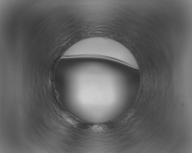 X0000054470566200507291050