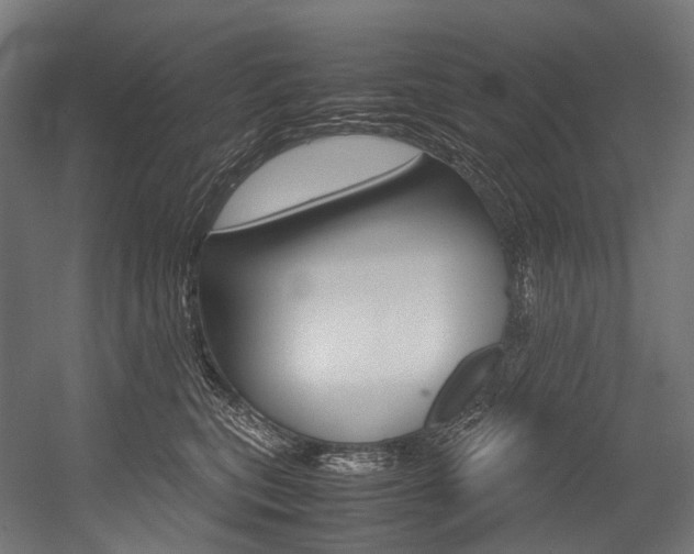 X0000054470567200507291050
