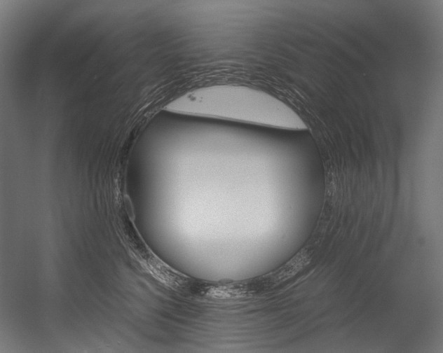 X0000054470568200507291050