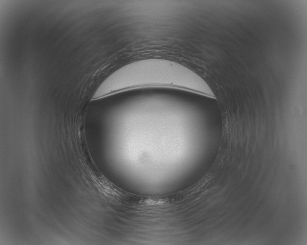 X0000054470570200507291050