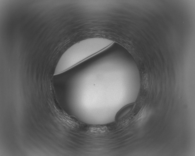 X0000054470571200507291050