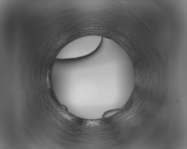 X0000054470573200507291050