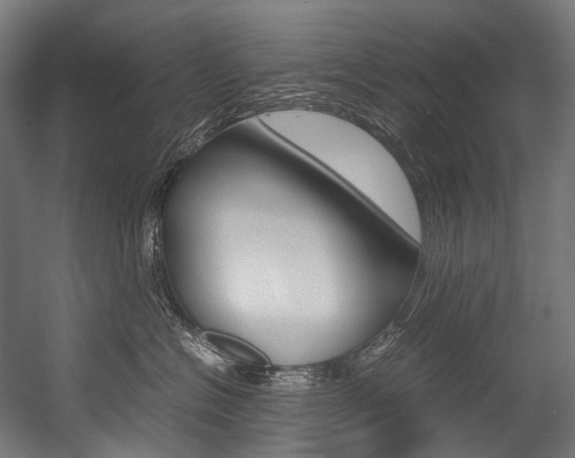 X0000054470574200507291050