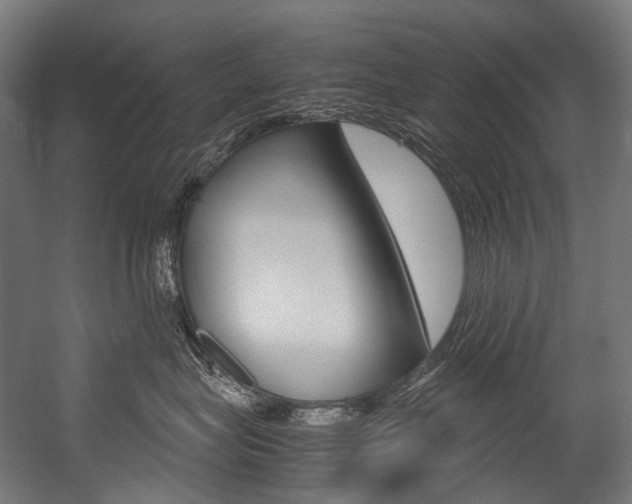 X0000054470575200507291050