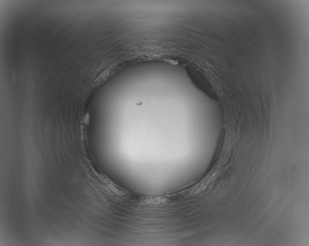 X0000054470576200507291050