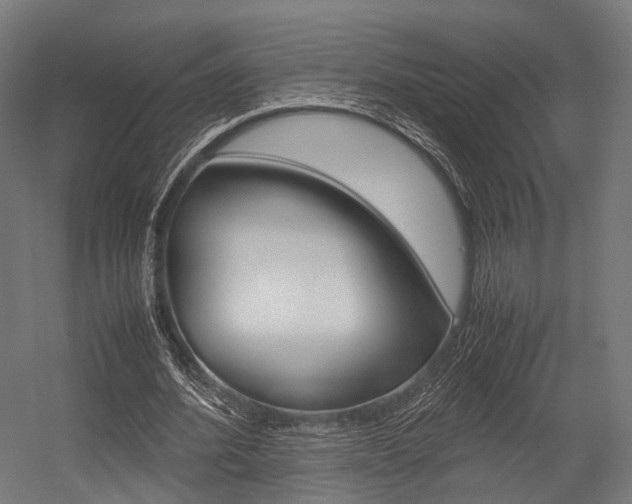 X0000054470580200507291050