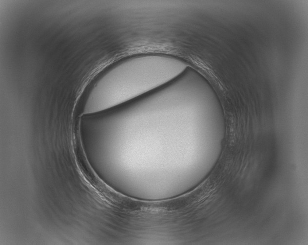 X0000054470582200507291050