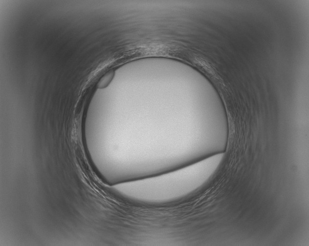 X0000054470583200507291050