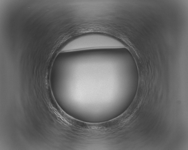 X0000054470585200507291050