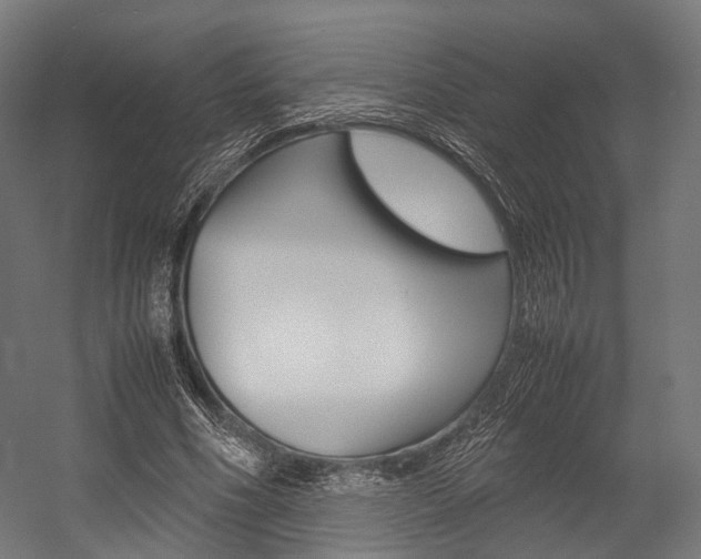 X0000054470586200507291049