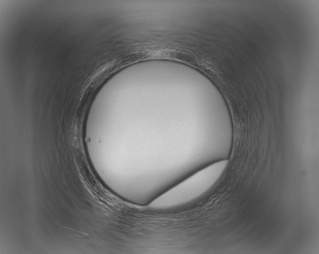 X0000054470587200507291049