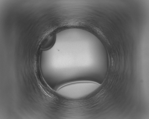 X0000054470588200507291049