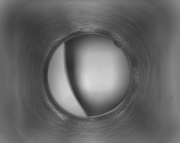 X0000054470589200507291049