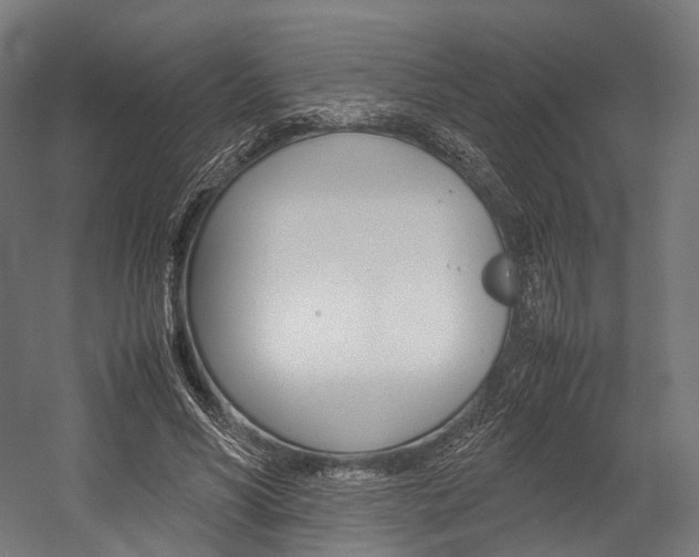 X0000054470590200507291049