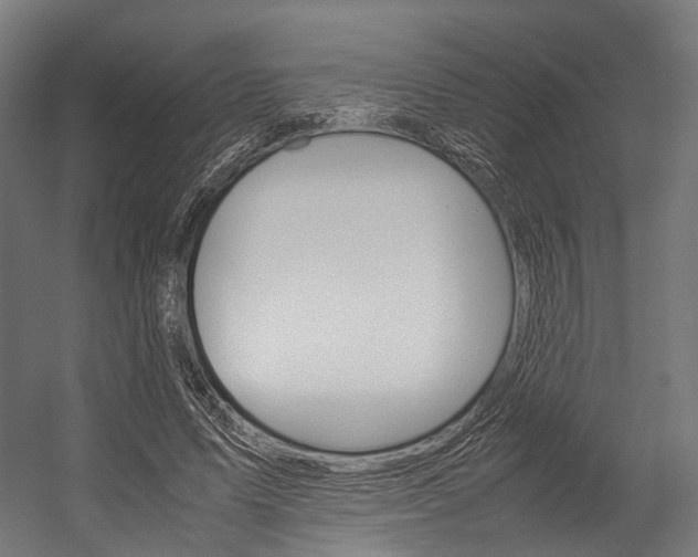 X0000054470591200507291049