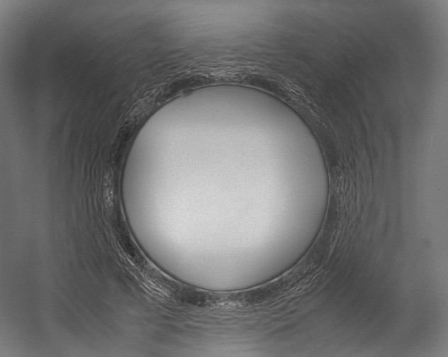 X0000054470593200507291049