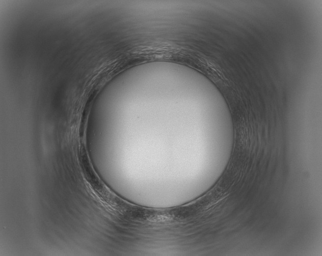 X0000054470594200507291049
