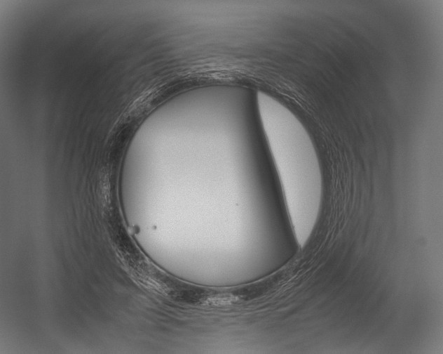 X0000054470595200507291049