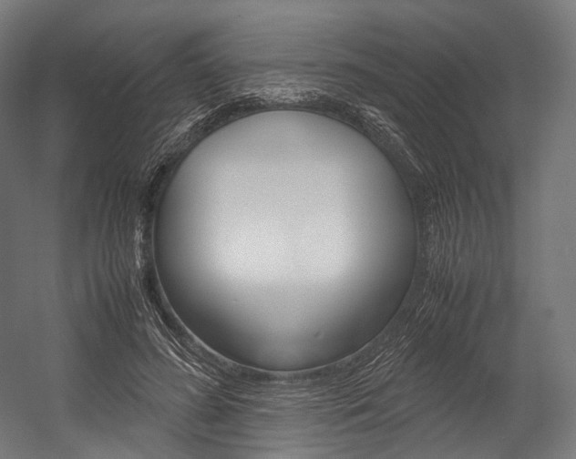 X0000054470596200507291049