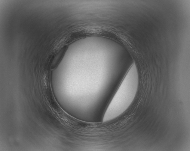 X0000054470597200507291049
