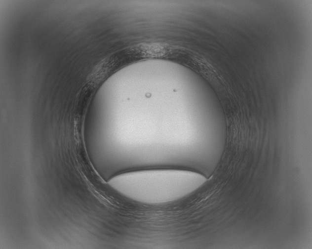 X0000054470598200507291049
