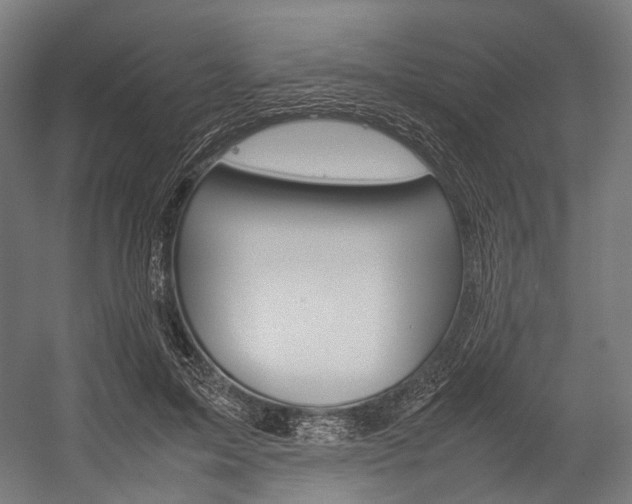 X0000054470599200507291049