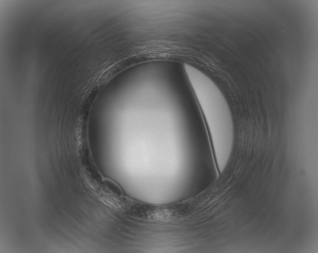 X0000054470600200507291049