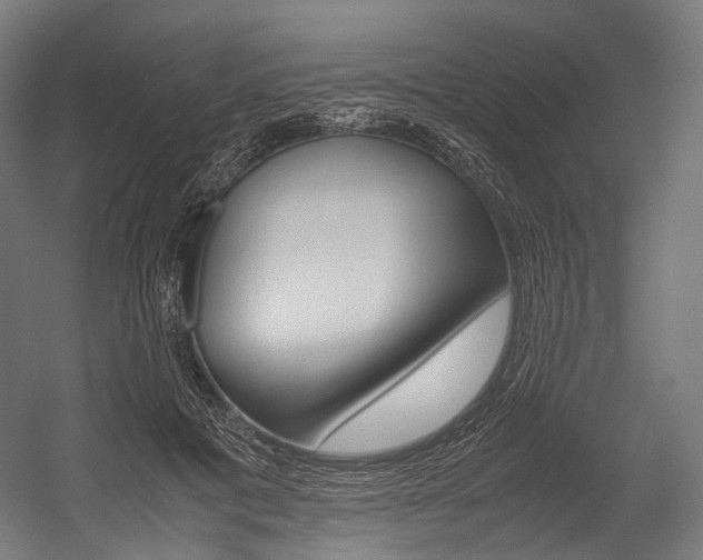 X0000054470601200507291049