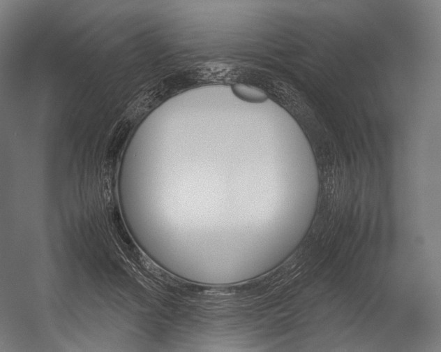 X0000054470602200507291049