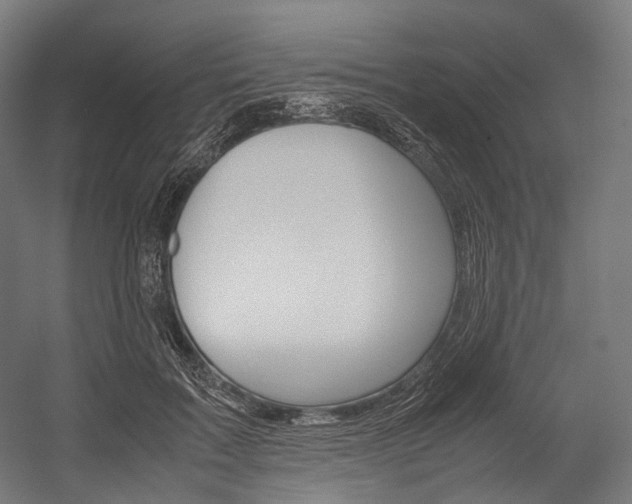 X0000054470603200507291049
