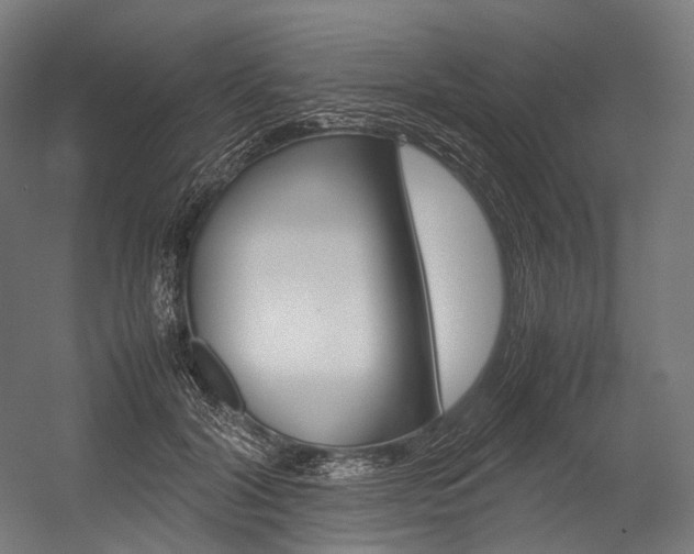X0000054470604200507291049