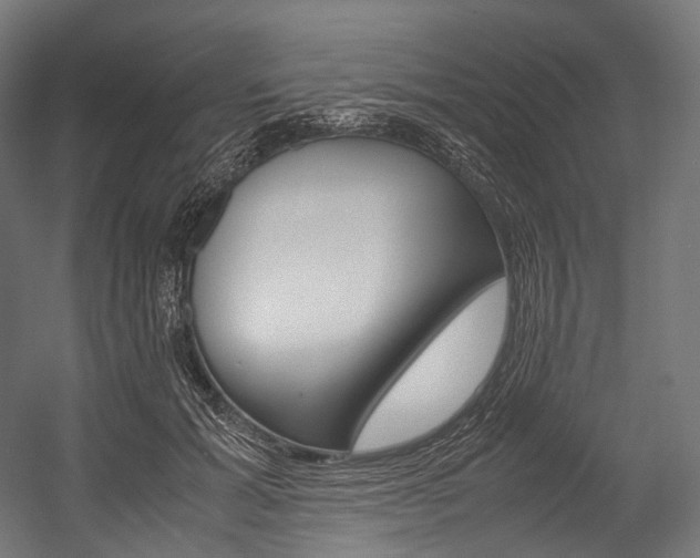 X0000054470605200507291049