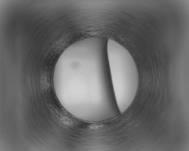 X0000054470606200507291049