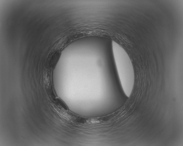 X0000054470607200507291049