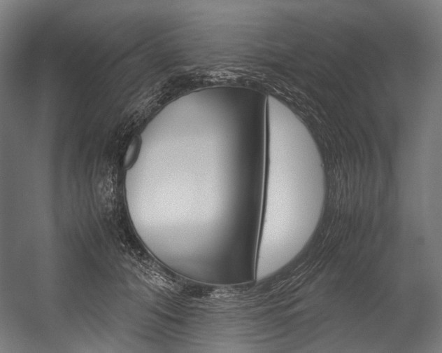 X0000054470608200507291049