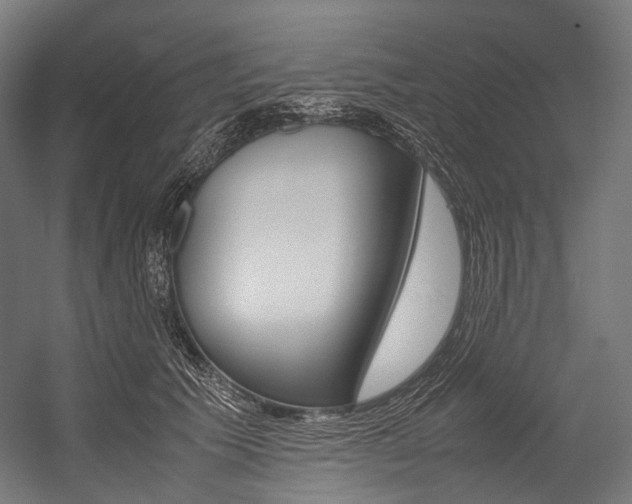 X0000054470609200507291049