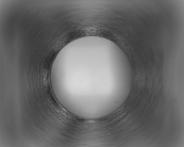 X0000054470610200507291049