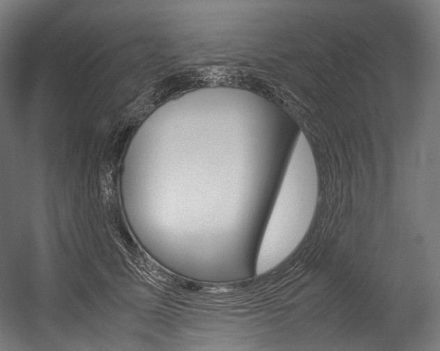 X0000054470611200507291049
