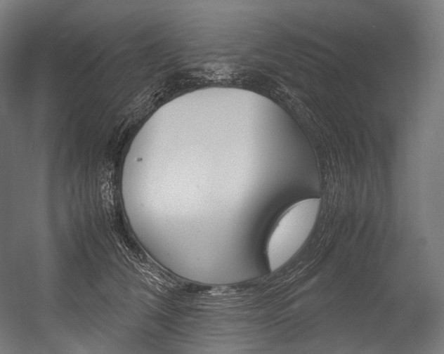 X0000054470612200507291049