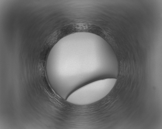 X0000054470614200507291049