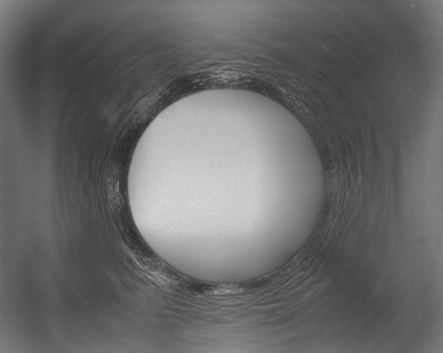 X0000054470615200507291049