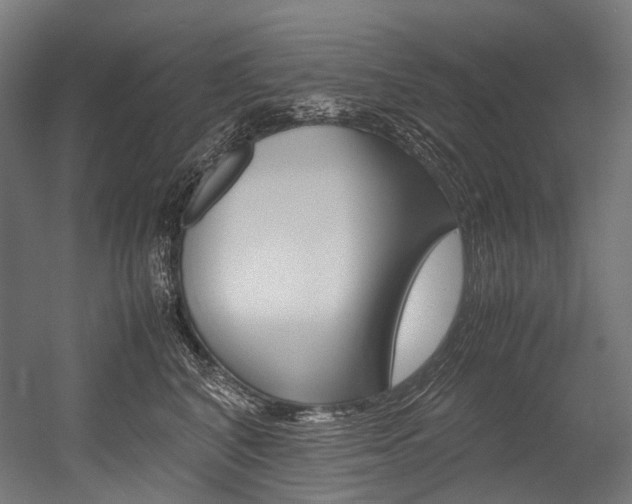 X0000054470616200507291049