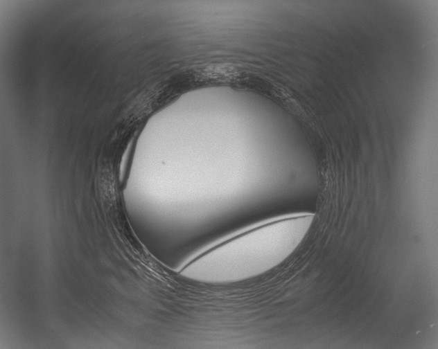 X0000054470617200507291049