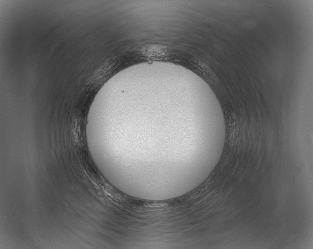 X0000054470618200507291049