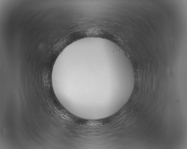 X0000054470619200507291049