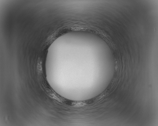 X0000054470621200507291049