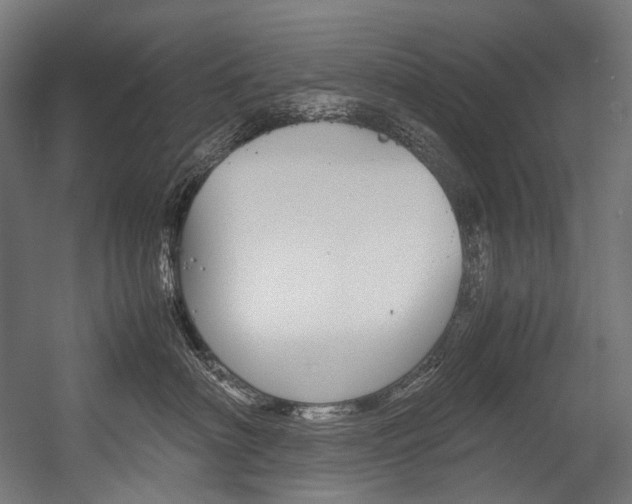 X0000054470622200507291049