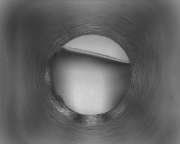 X0000054470623200507291049