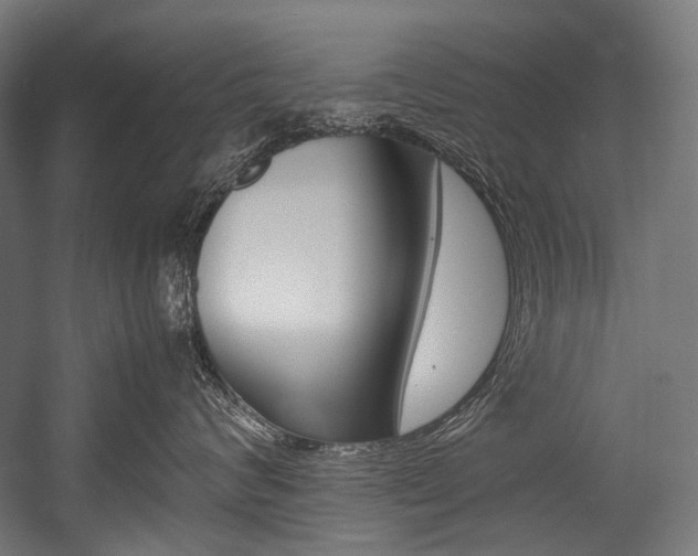 X0000054470624200507291049