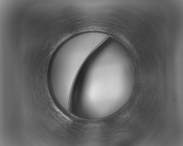 X0000054470625200507291048